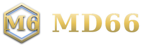MD66 โลโก้